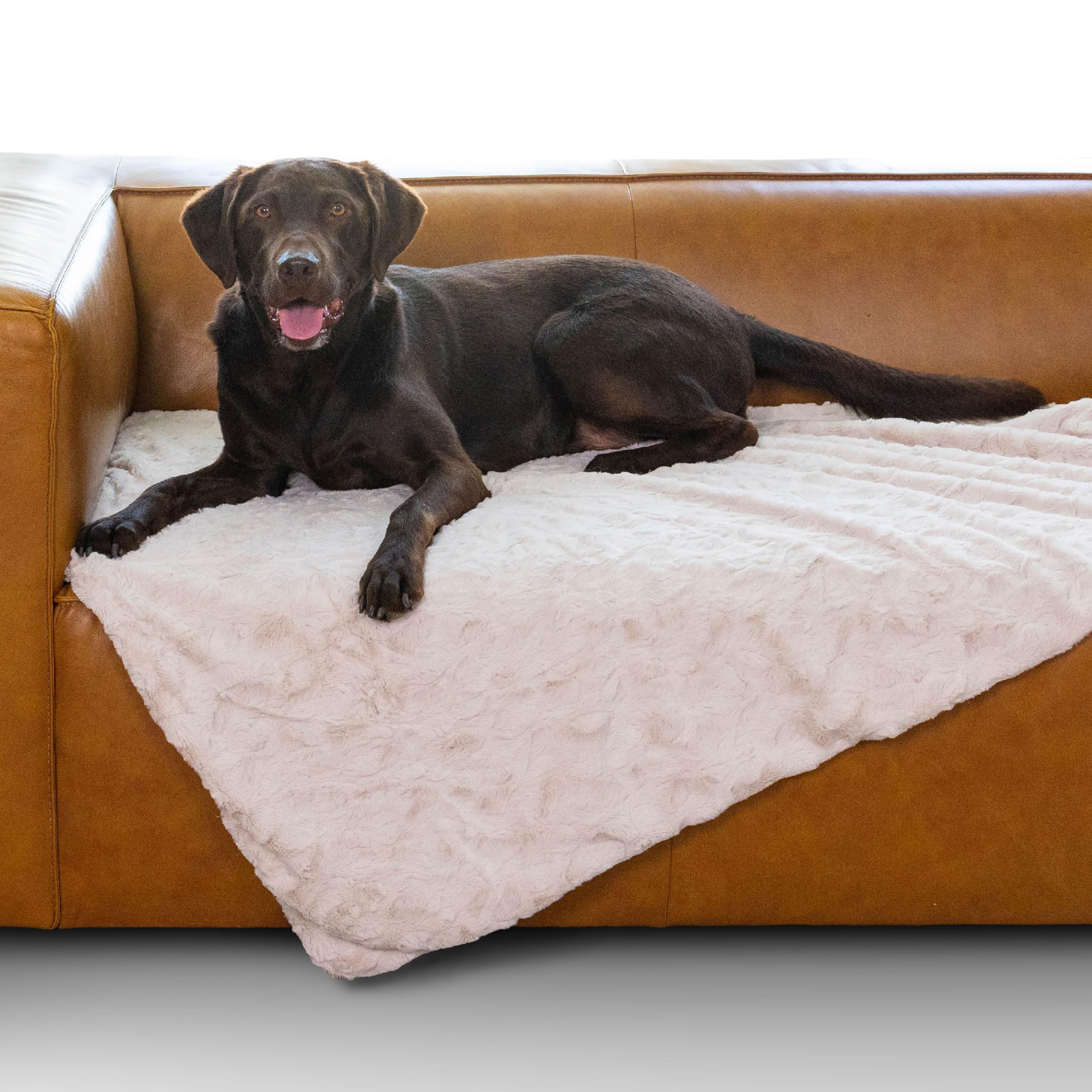 Best Friends by Sheri Calming Lux Blanket, vue rapprochée: douceur du pelage pour un cocon rassurant.