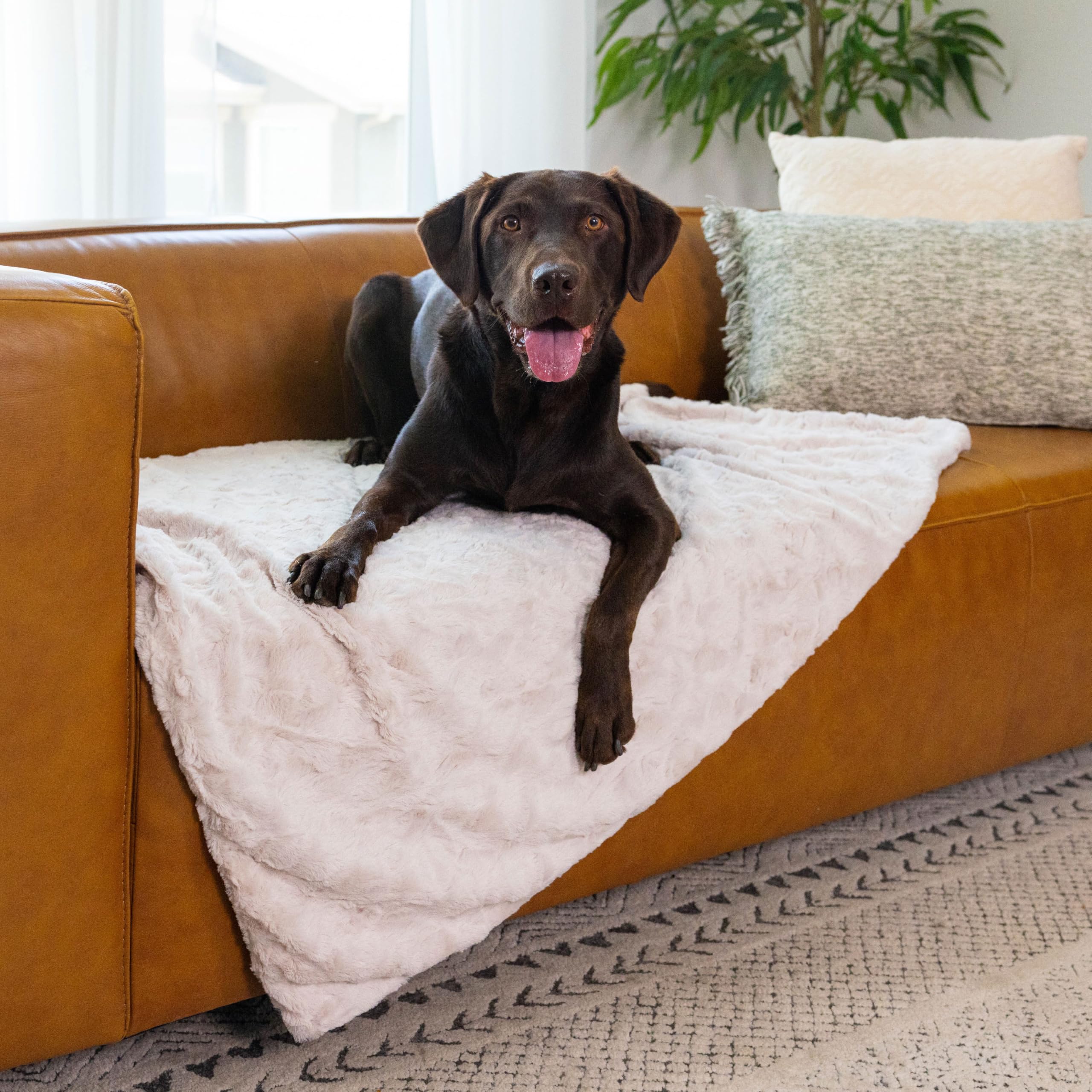 Best Friends by Sheri Calming Lux Blanket, taille 40x50 pouces adaptée aux chiens moyens et grands.