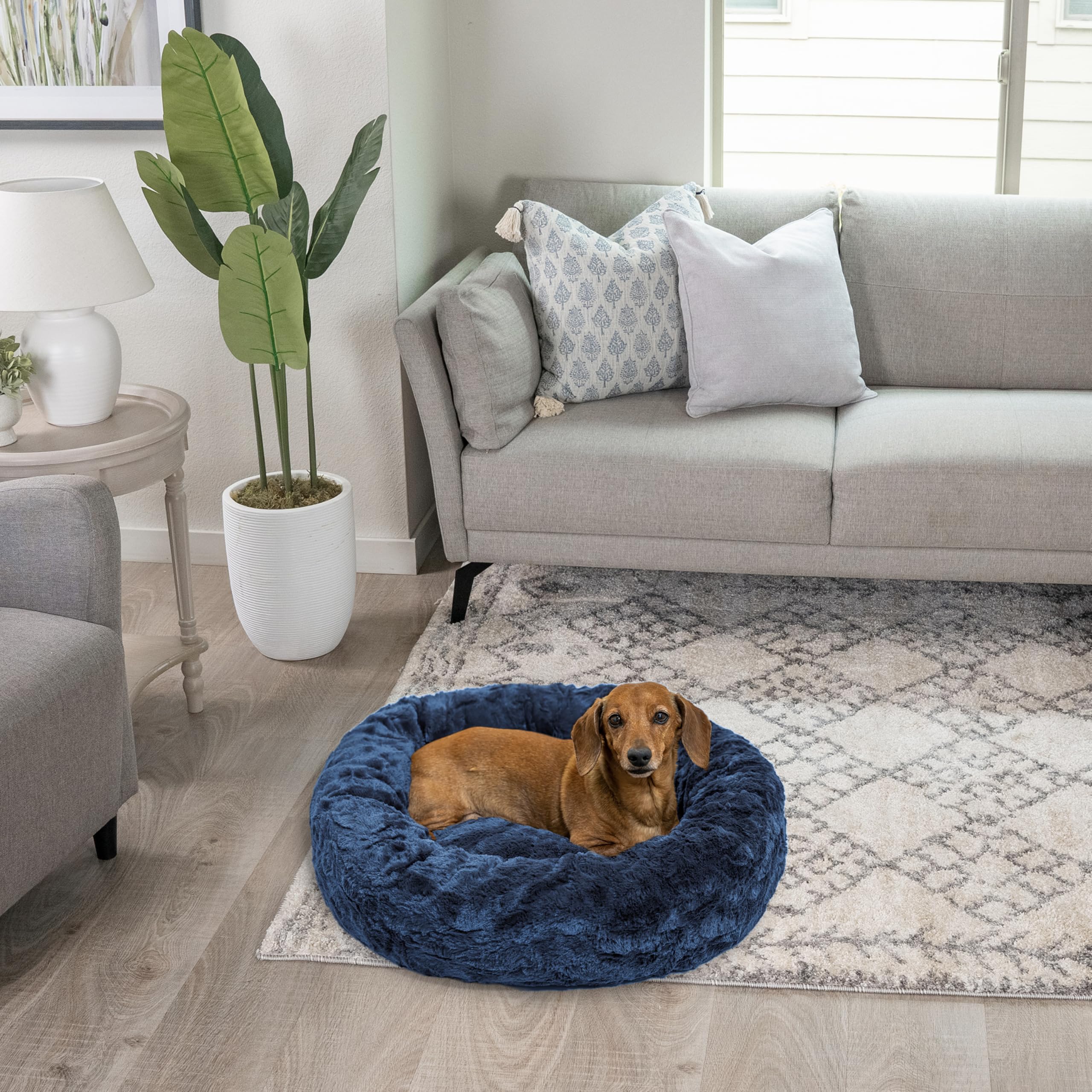 Best Friends by Sheri Donut bed idéal pour petits chiens et chats, polyvalence.