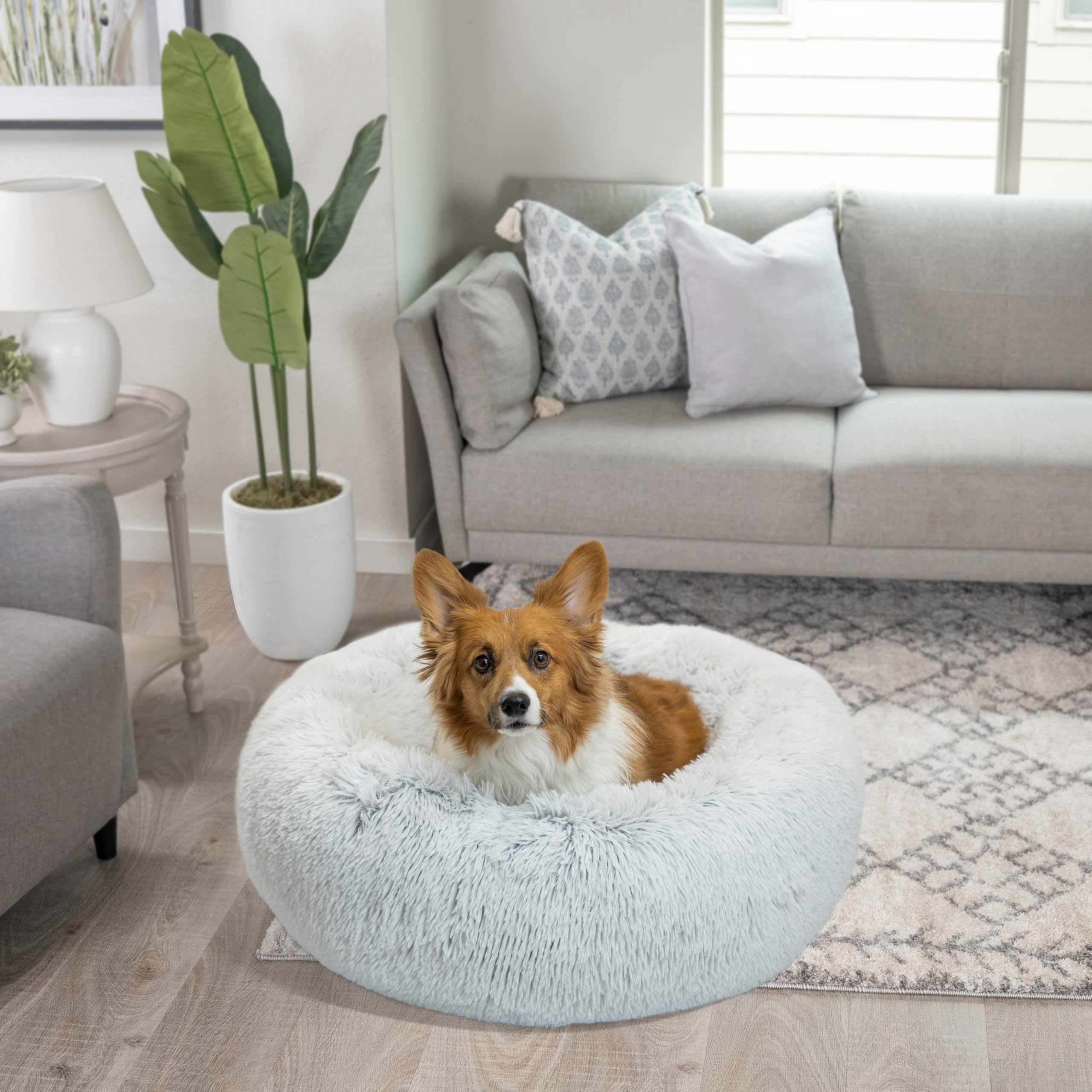 Best Friends by Sheri texture-lux-shag - pelage long et chaud pour l hiver