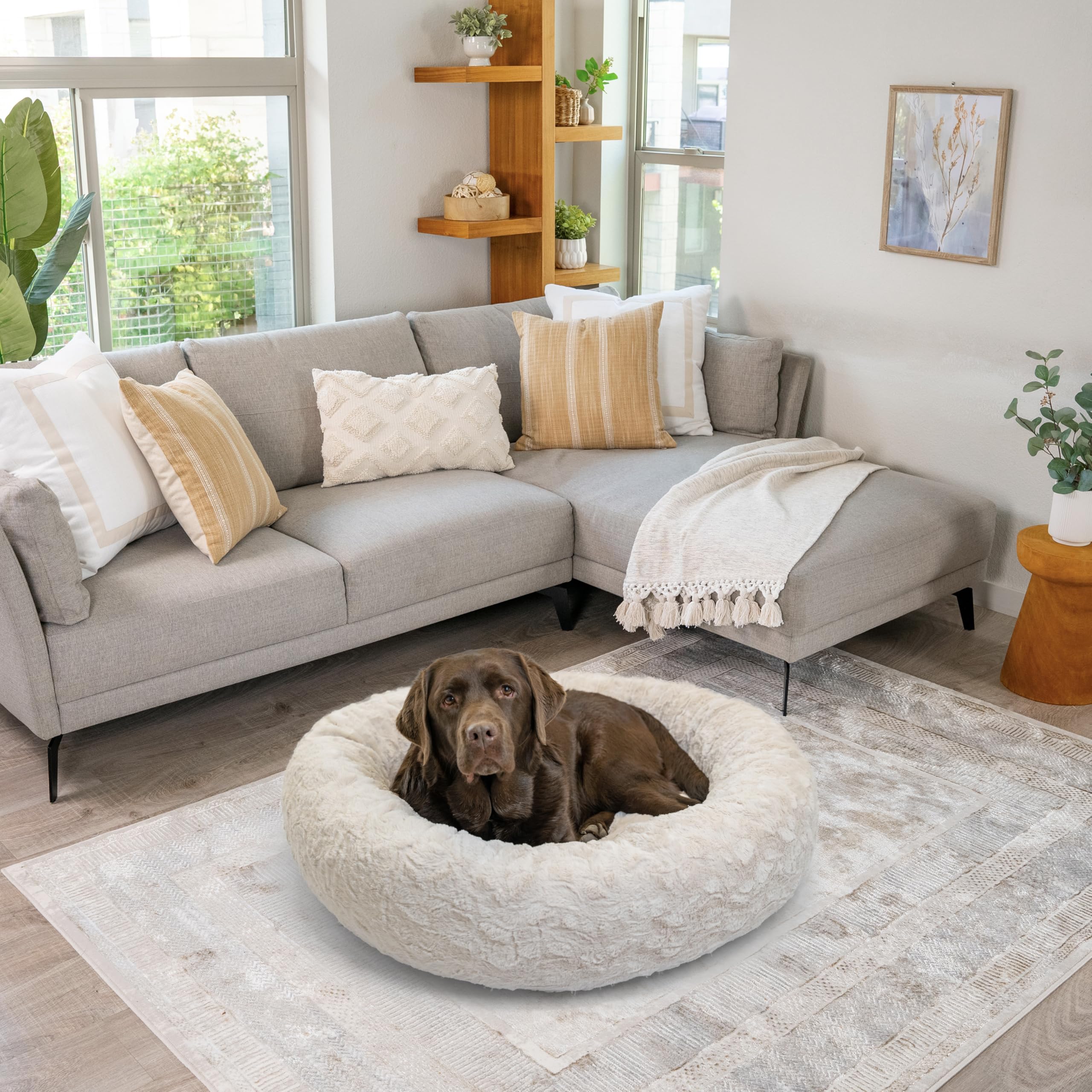 Utilisation apaisante Best Friends by Sheri pour chiens et chats