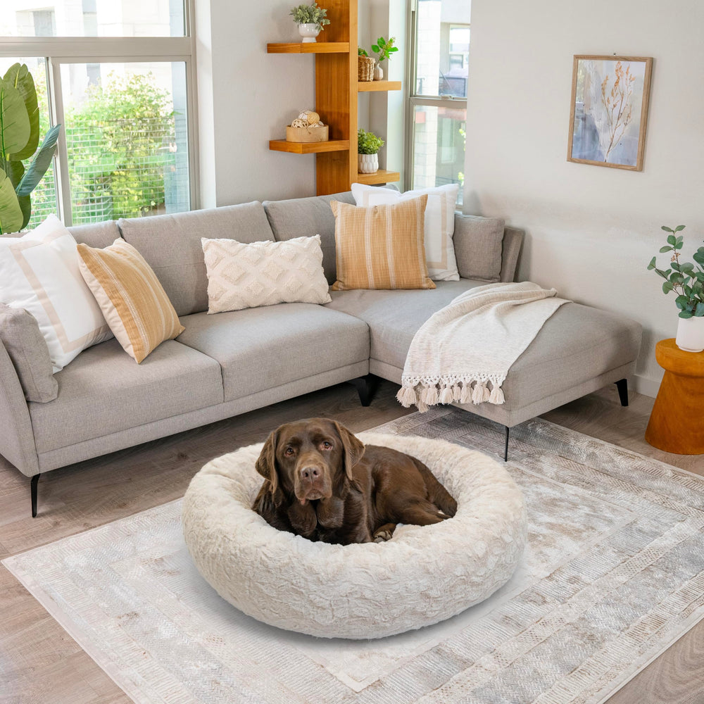 Utilisation apaisante Best Friends by Sheri pour chiens et chats