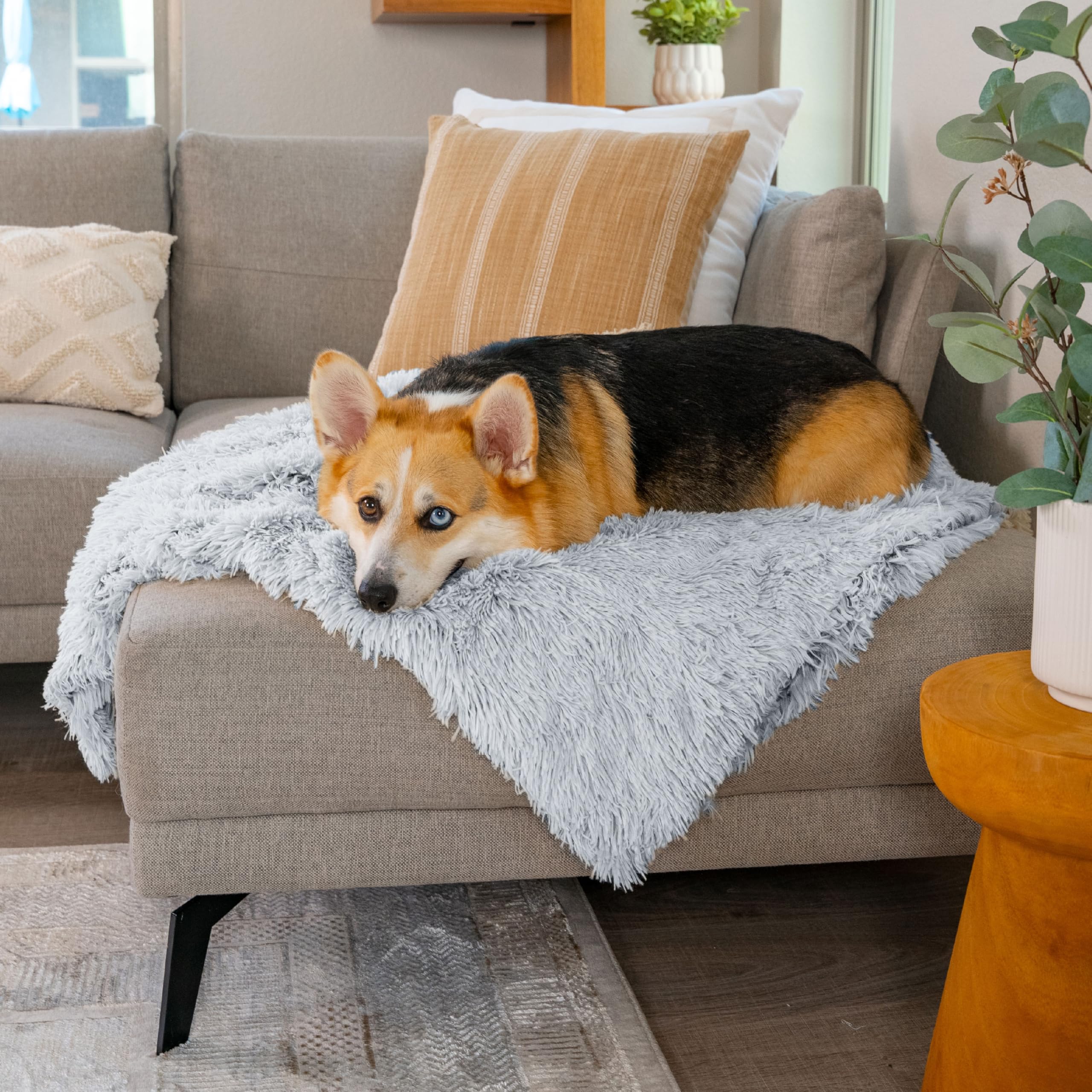 Best Friends par Sheri couverture pratique pour les voyages
