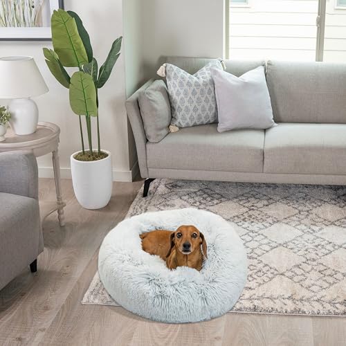 Best Friends by Sheri Donut, design doux et neutre s intègre à votre déco.