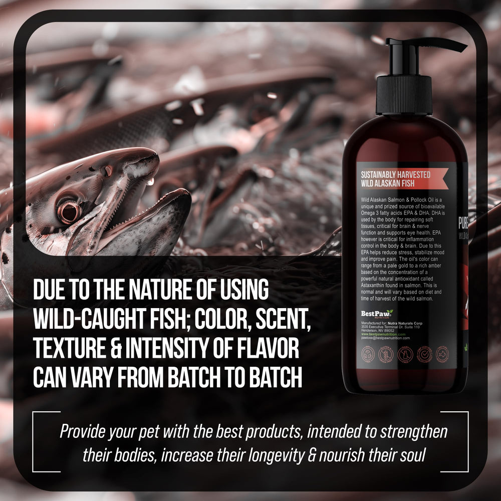 Best Paw Nutrition fabrication USA – qualité et traçabilité
