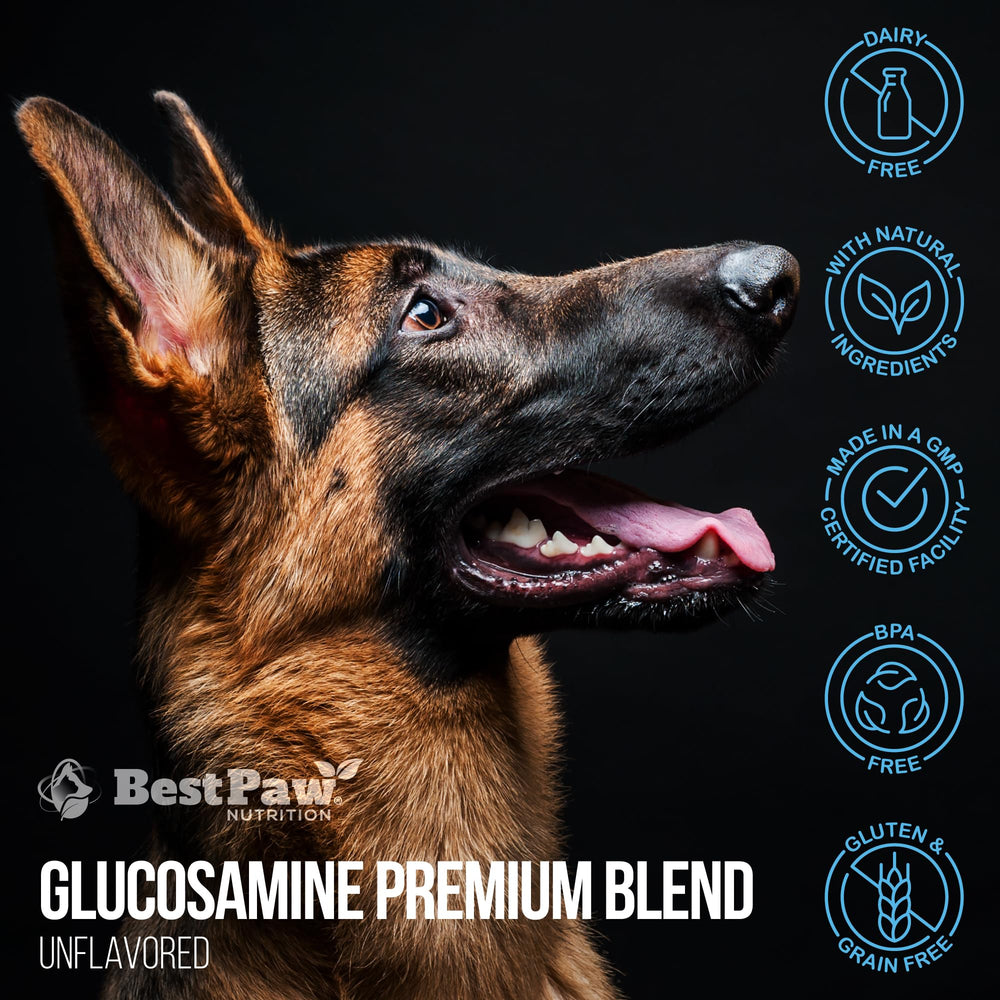 Best Paw Nutrition glucosamine liquide qualité USA.
