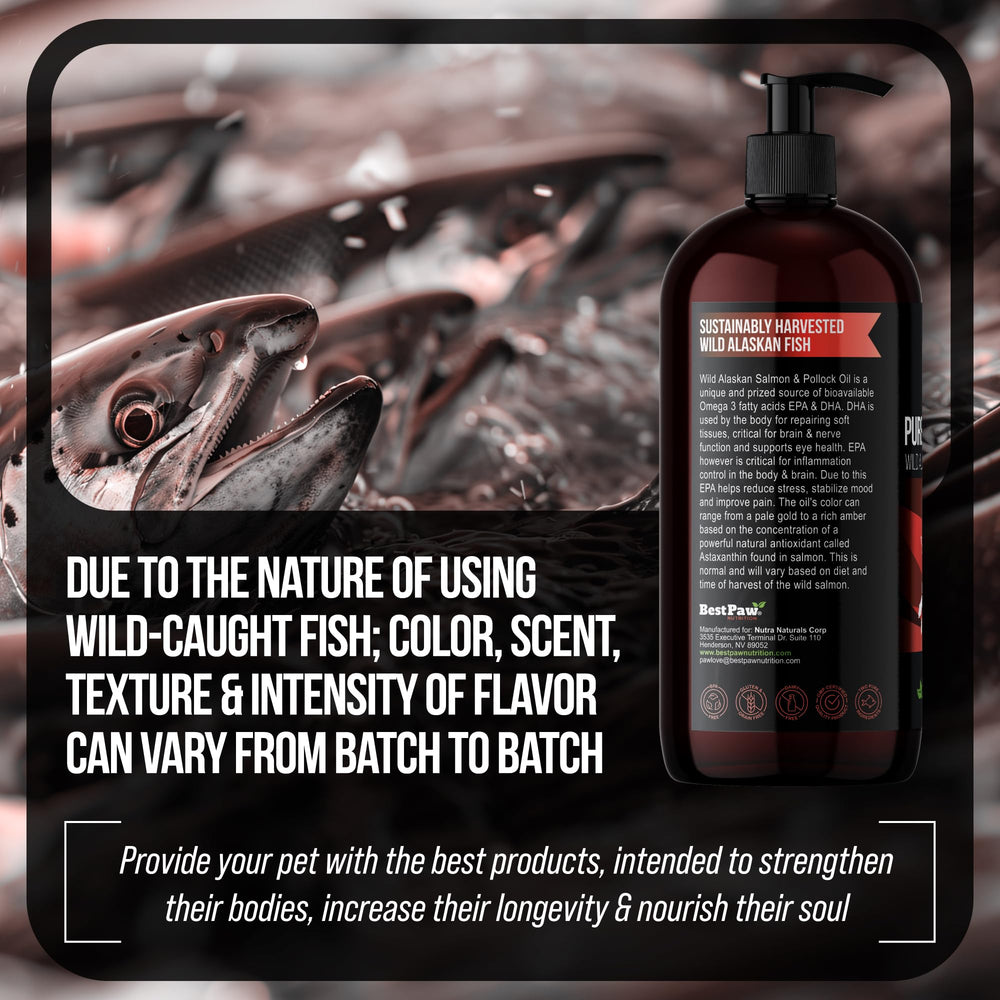 Soin peau et pelage avec oméga-3 EPA/DHA Best Paw Nutrition.