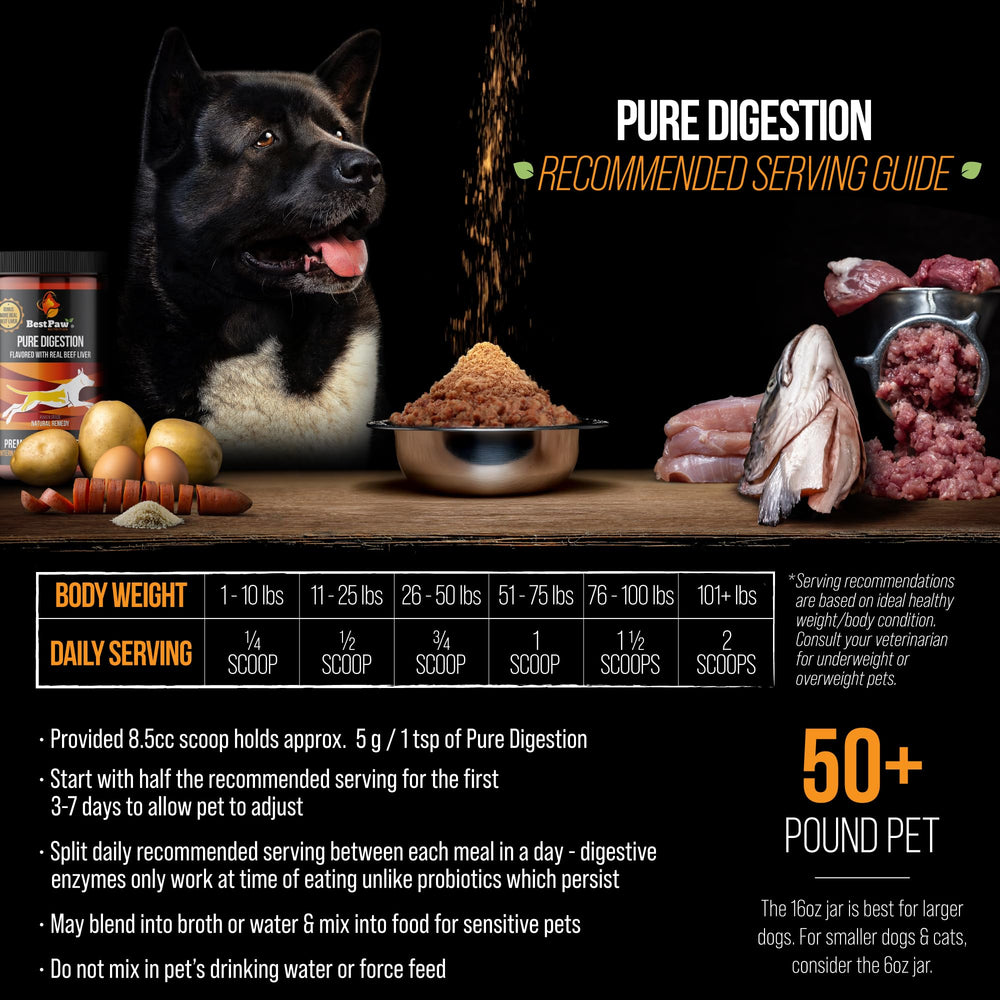 Best Paw Nutrition – Curcuma biologique pour soutien digestif naturel