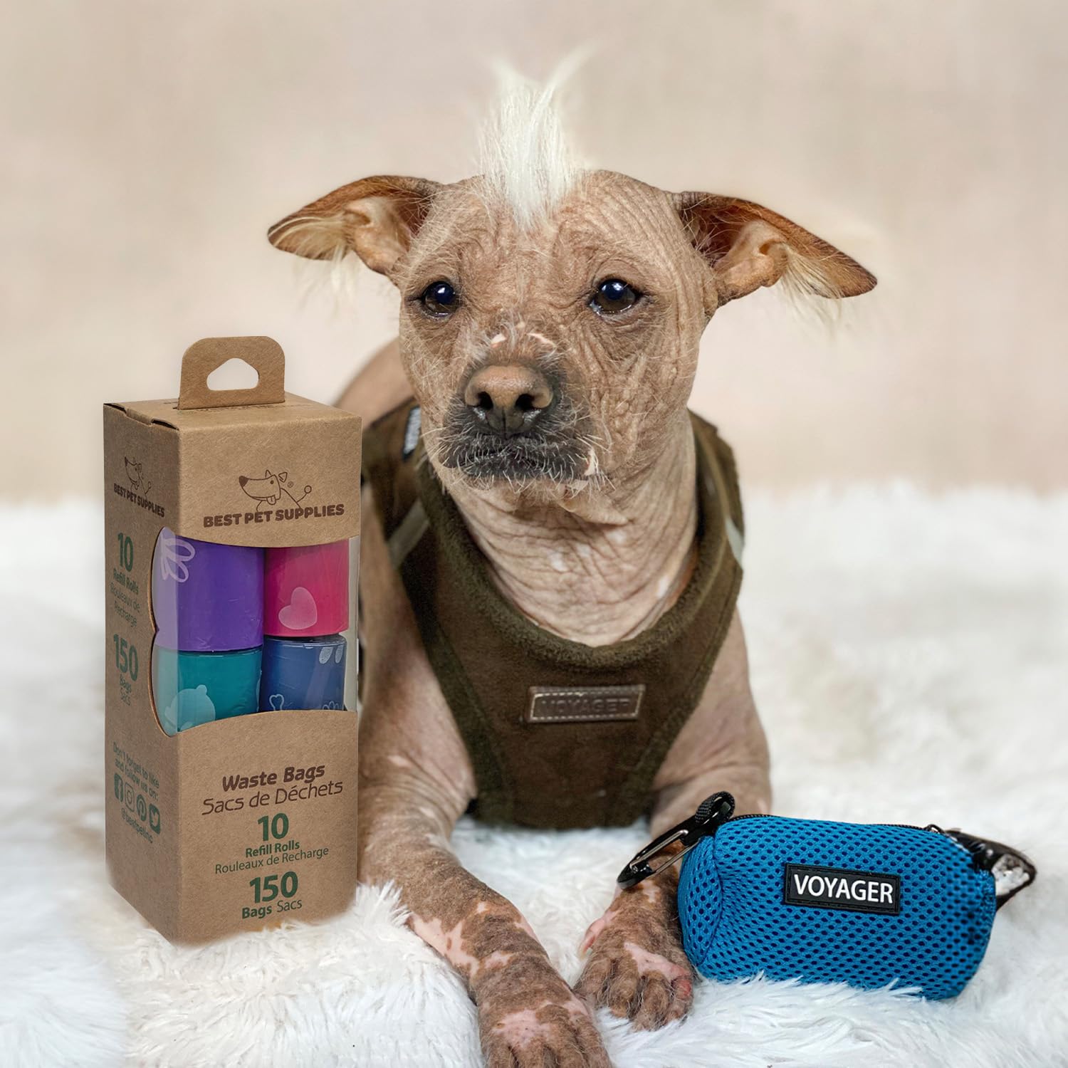 Best Pet Supplies assurance qualité et service client fiable