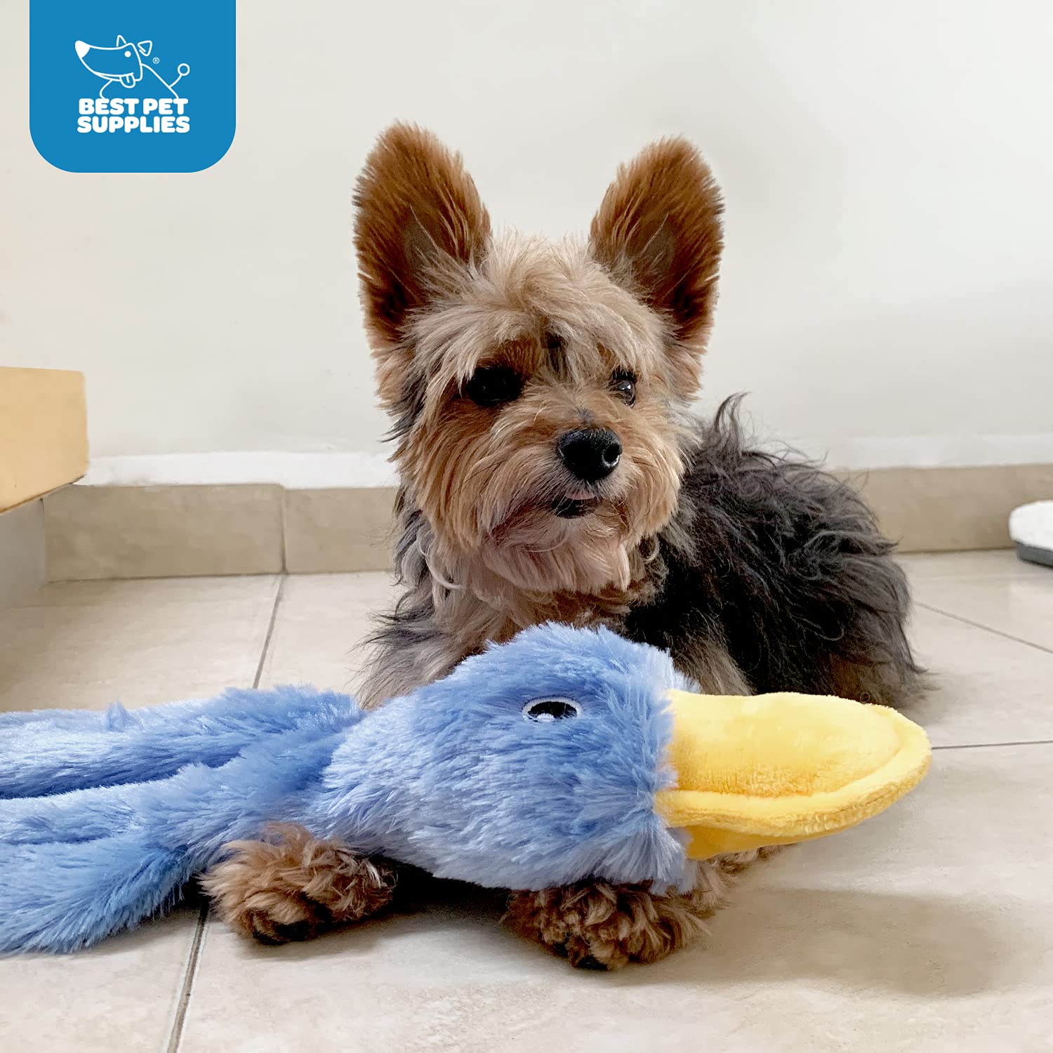Best Pet Supplies cadeau canard crissement rose clair, jouet ludique pour chiens