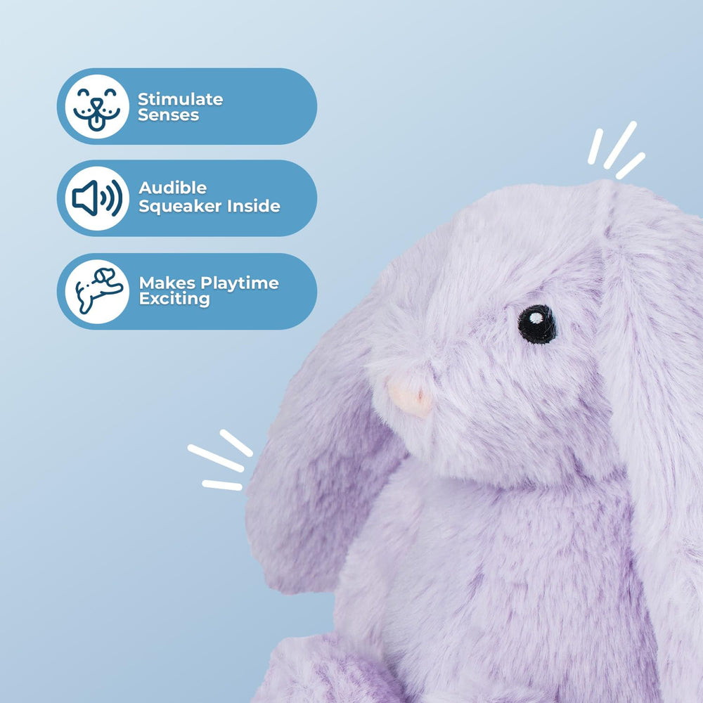 Best Pet Supplies canard peluche cri intérieur, parfait pour l'amusement