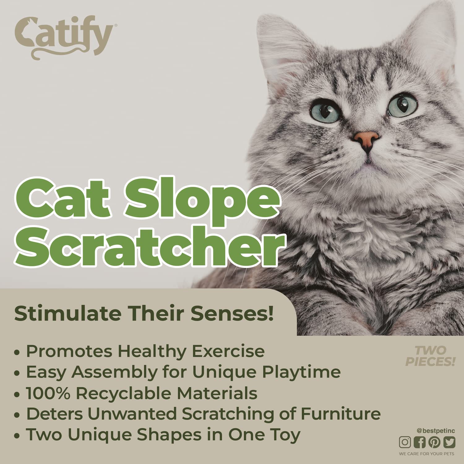 Best Pet Supplies Catify grattoir nacelle-chat surface confortable pour se détendre puis gratter.