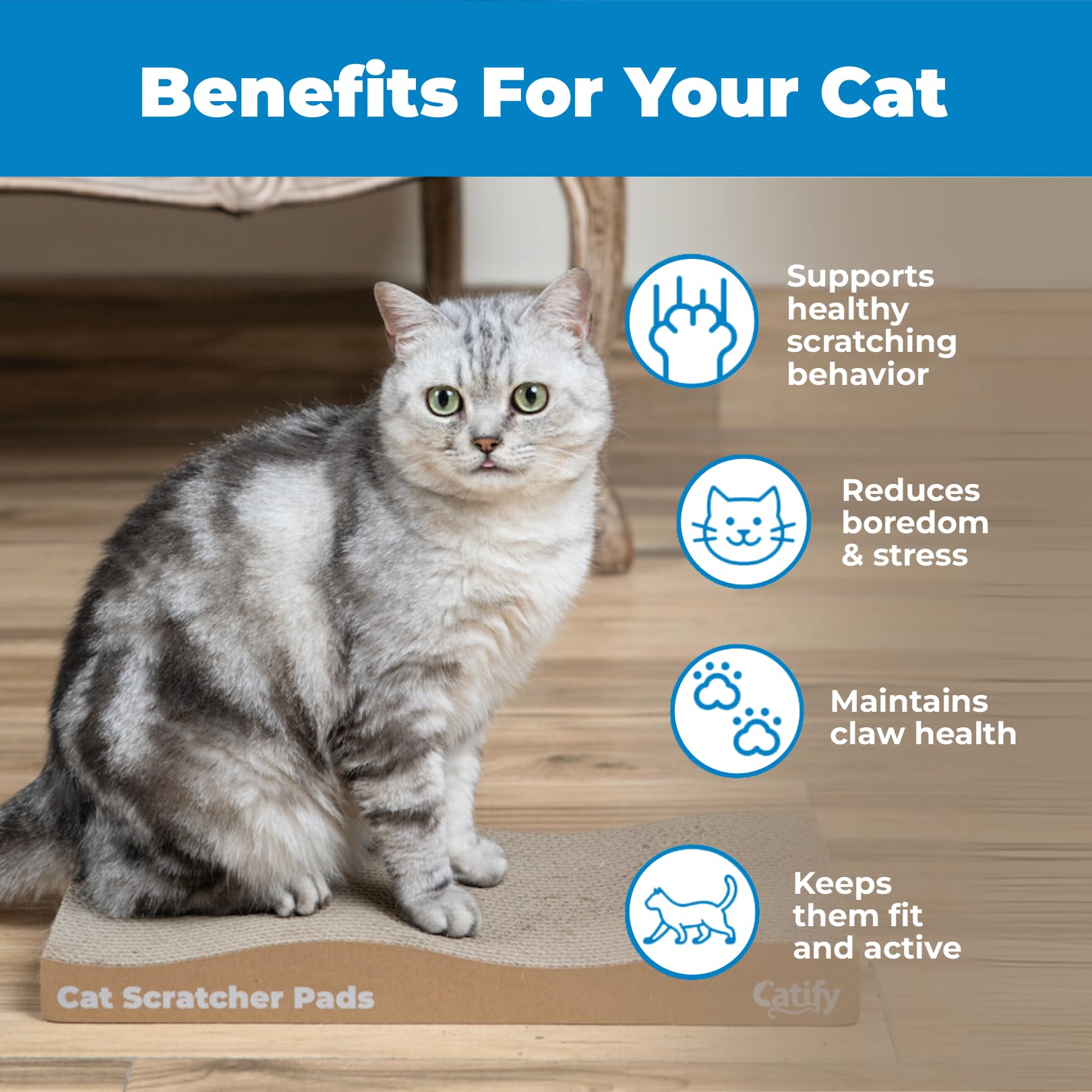 Best Pet Supplies Catify grattoir Ondes – ambiance intérieure calme et ludique.