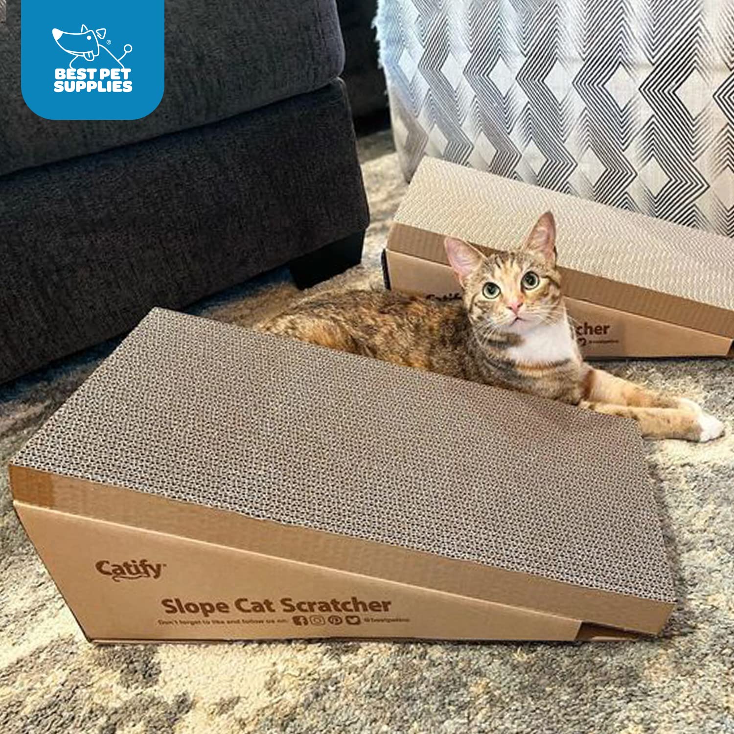 Best Pet Supplies Catify grattoir rampe-goutte variété de surfaces pour diversifier le jeu.