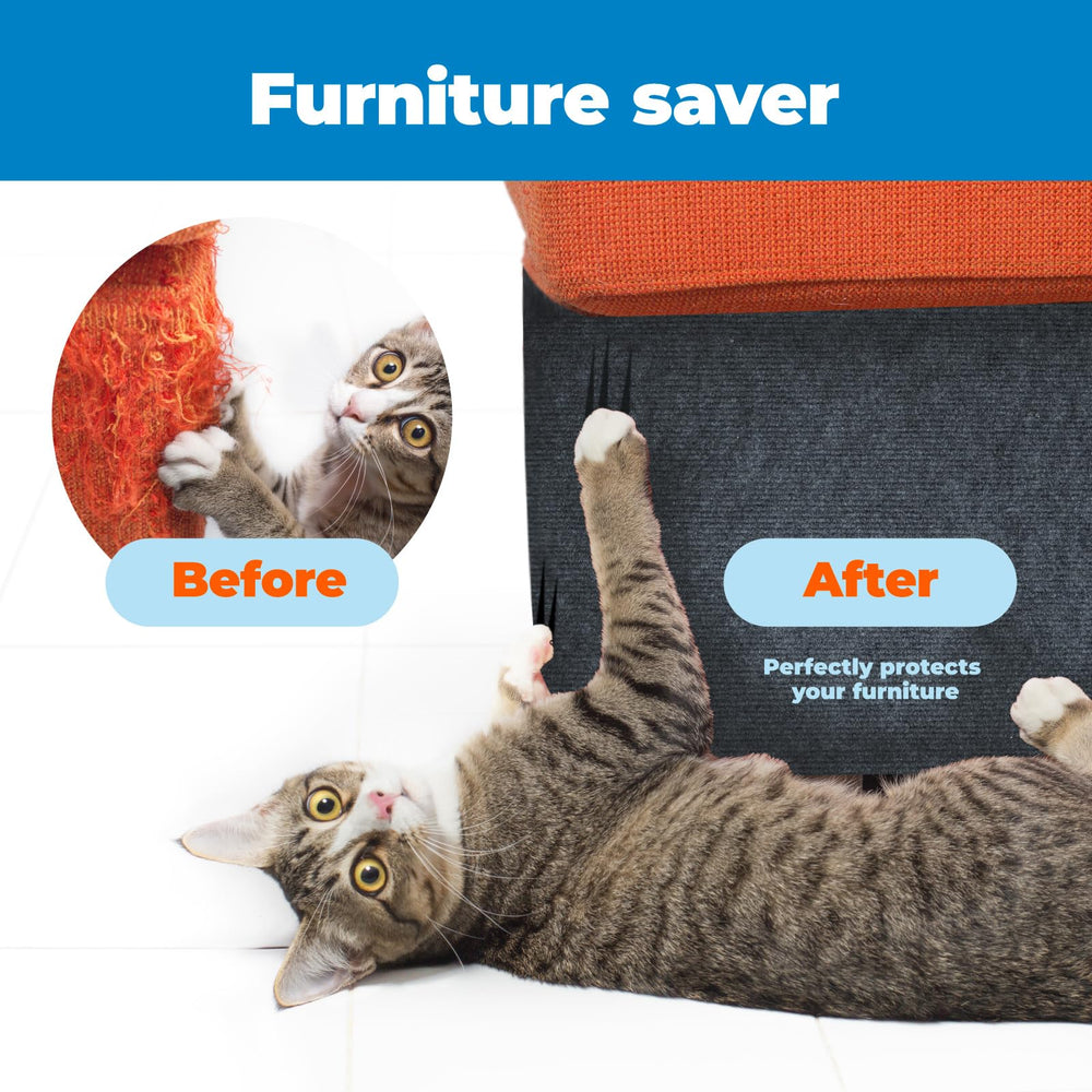 Catify Best Pet Supplies, adhésifs de remplacement pour fixation durable.