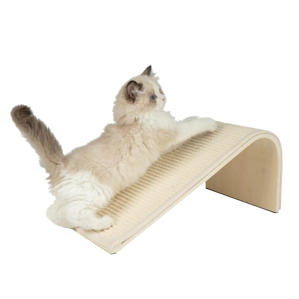 Best Pet Supplies Catify planche griffage crème: outil efficace pour le griffage et la détente