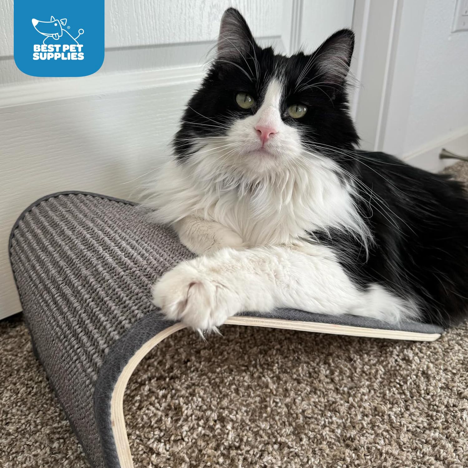 Best Pet Supplies Catify post griffage hauteur crème: rampe d'intérieur pour accès et jeu