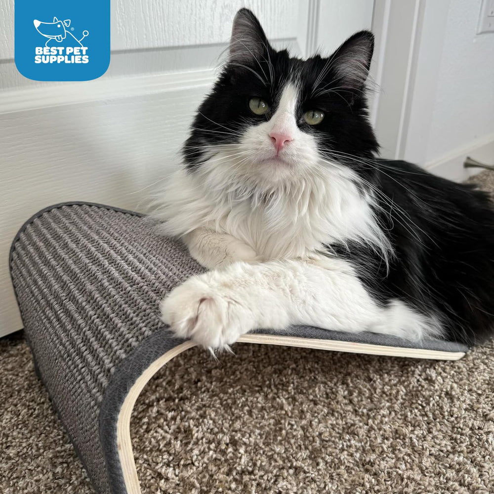 Best Pet Supplies Catify post griffage hauteur crème: rampe d'intérieur pour accès et jeu