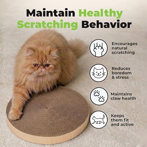 Best Pet Supplies Catify tampons grattage double-face faciles à changer.