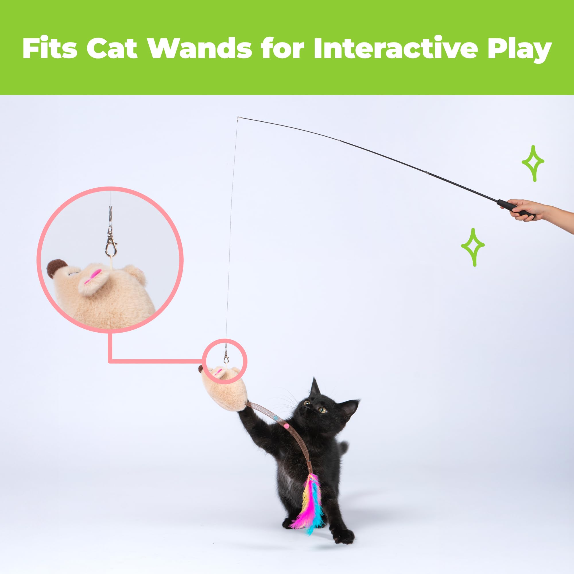 Catify par Best Pet Supplies, module sonore scellé facile à nettoyer après le jeu.