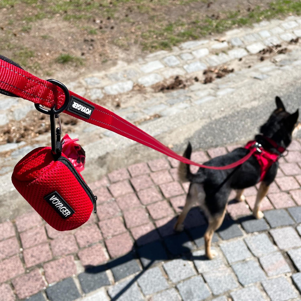 Best Pet Supplies design universel remplissage sacs compatible avec la plupart des marques
