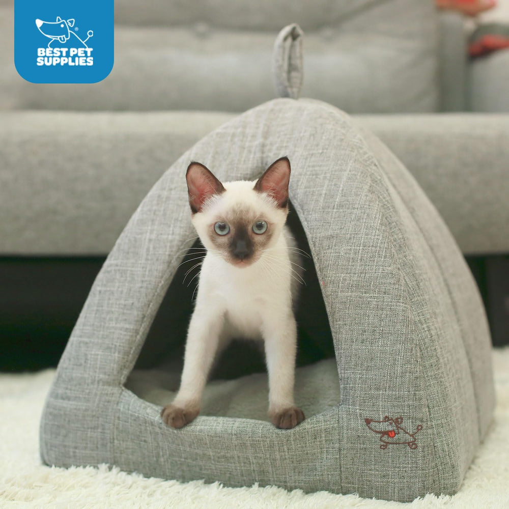 Dôme Best Pet Supplies pour petits chiens et chats, sécurité et chaleur.