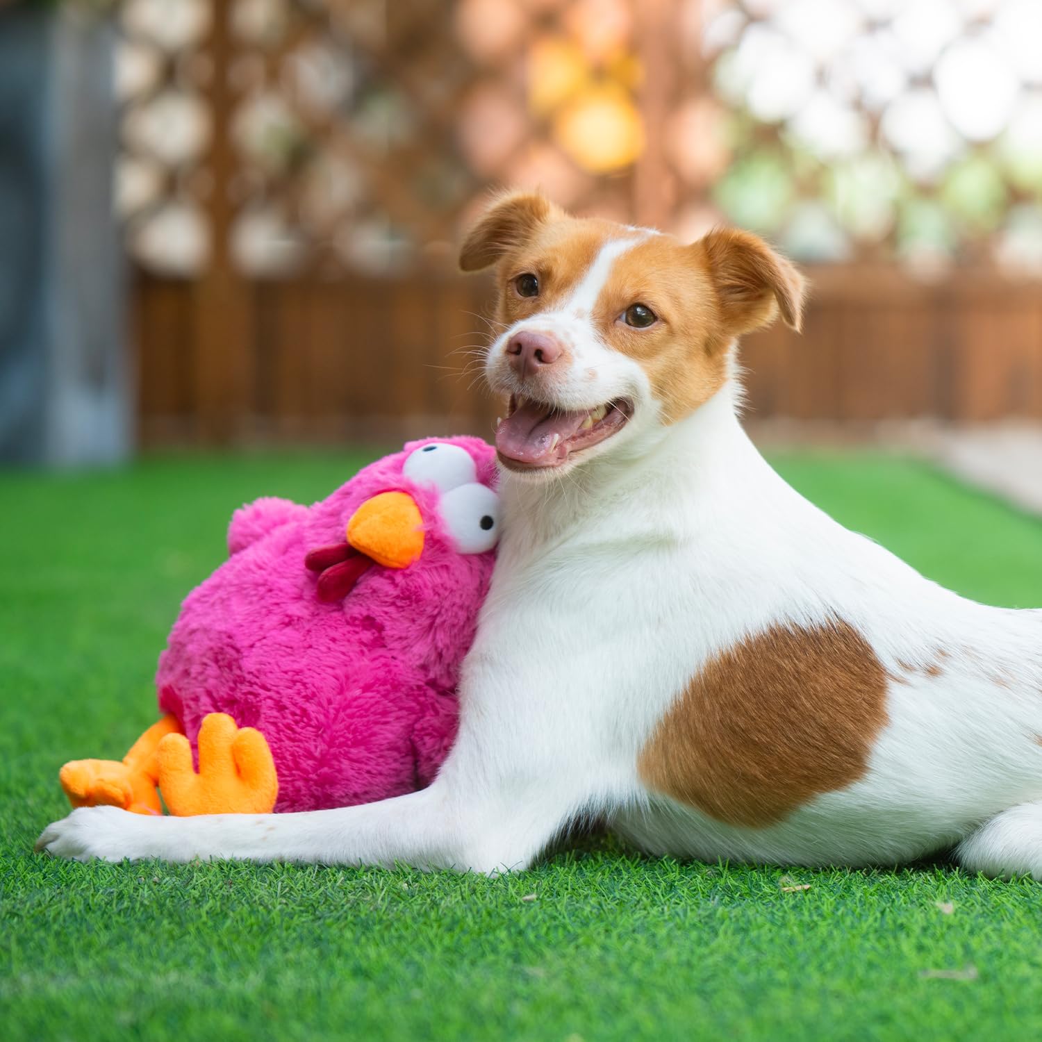 Best Pet Supplies forme canard Mme CoinCoin: jouet varié pour jeux