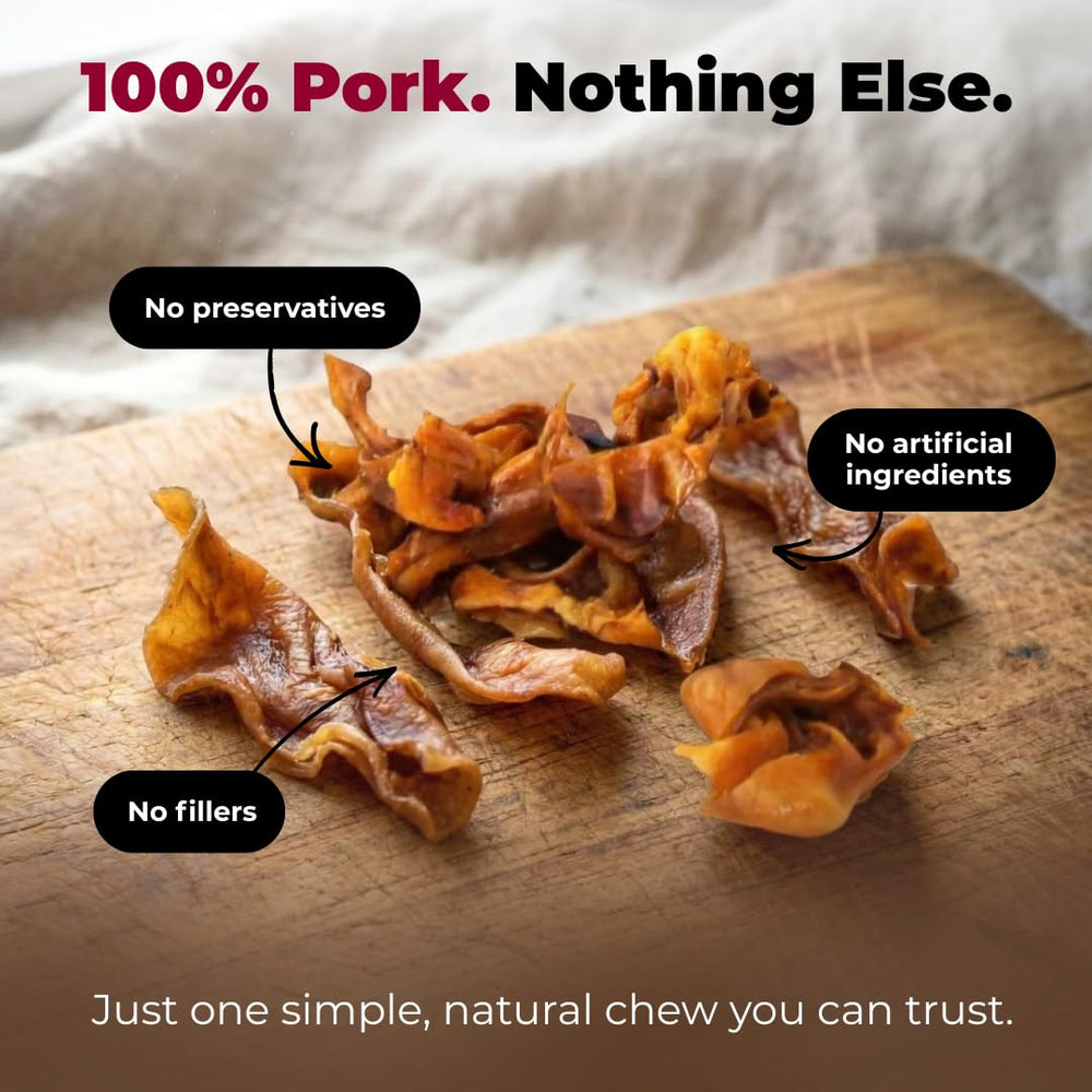 GigaBite: tranches de porc 2-4 pouces idéales pour la mastication prolongée.