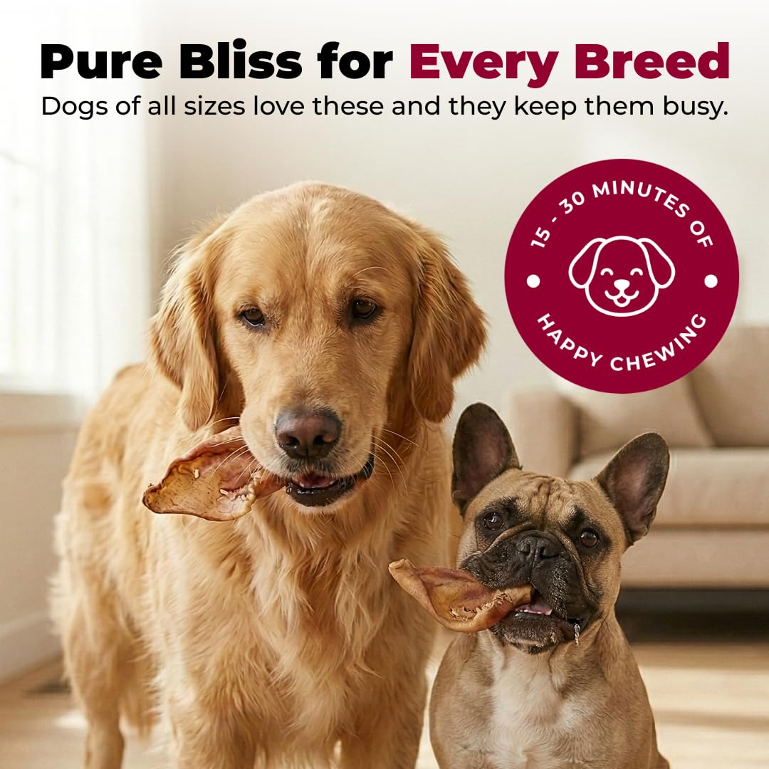 Best Pet Supplies GigaBite – produit sans additifs, friandise simple et naturelle pour chiens sensibles.