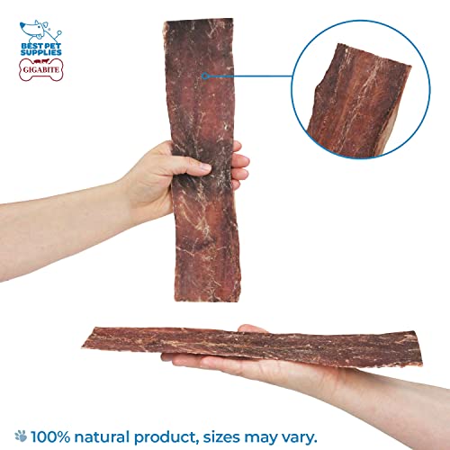 GigaBite sans cuir brut, alternative naturelle au rawhide.