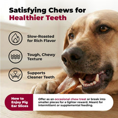Best Pet Supplies GigaBite — Texture rugueuse pour dents, aide à nettoyer lors de la mastication.