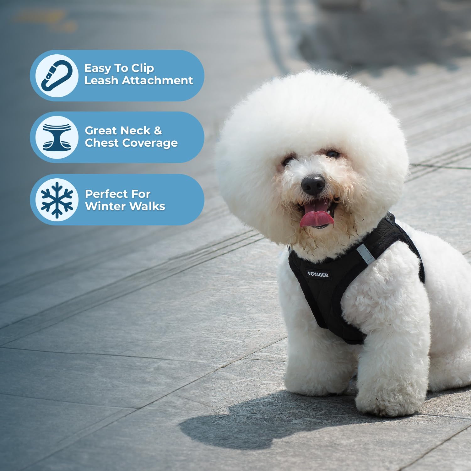 Best Pet Supplies harnais avec anneaux doubles pour une attache de laisse robuste.