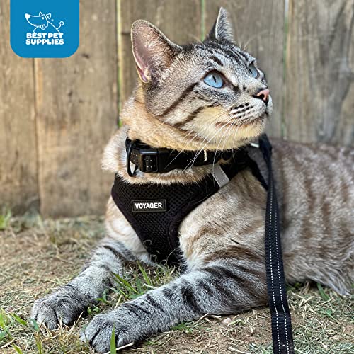 Best Pet Supplies harnais anneaux doubles pour sécurité renforcée lors des balades