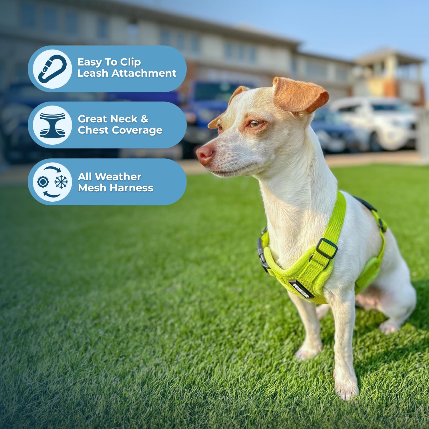 Best Pet Supplies Voyager Harnais Step-in Air – bandes réfléchissantes pour meilleure visibilité.
