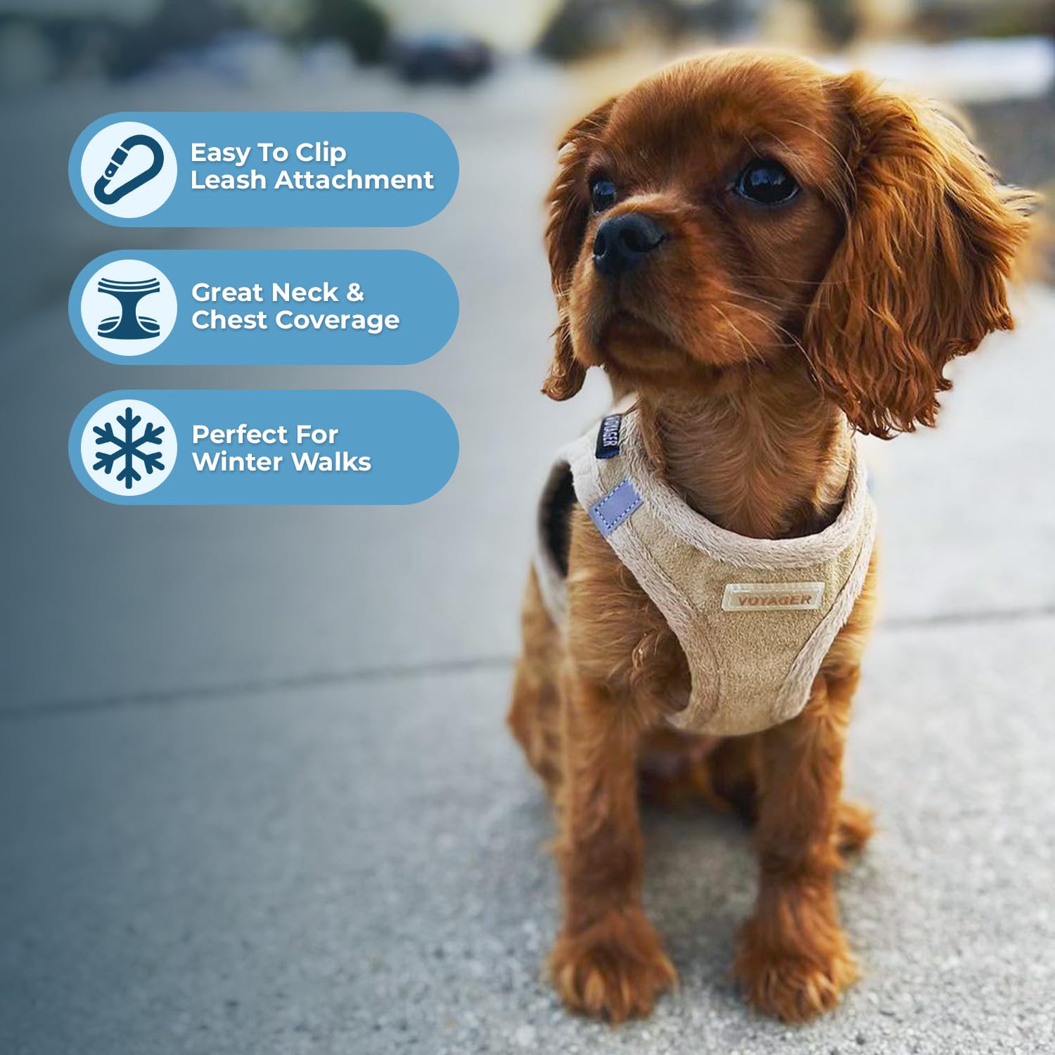 Harnais Best Pet Supplies Latte Suède, doublure peluche douce pour le confort lors des promenades