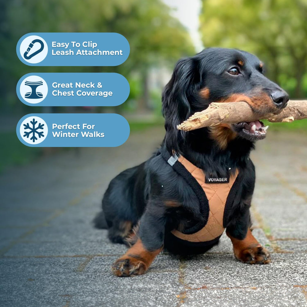 Harnais Best Pet Supplies peluche tout-temps mise en place simple et rapide.