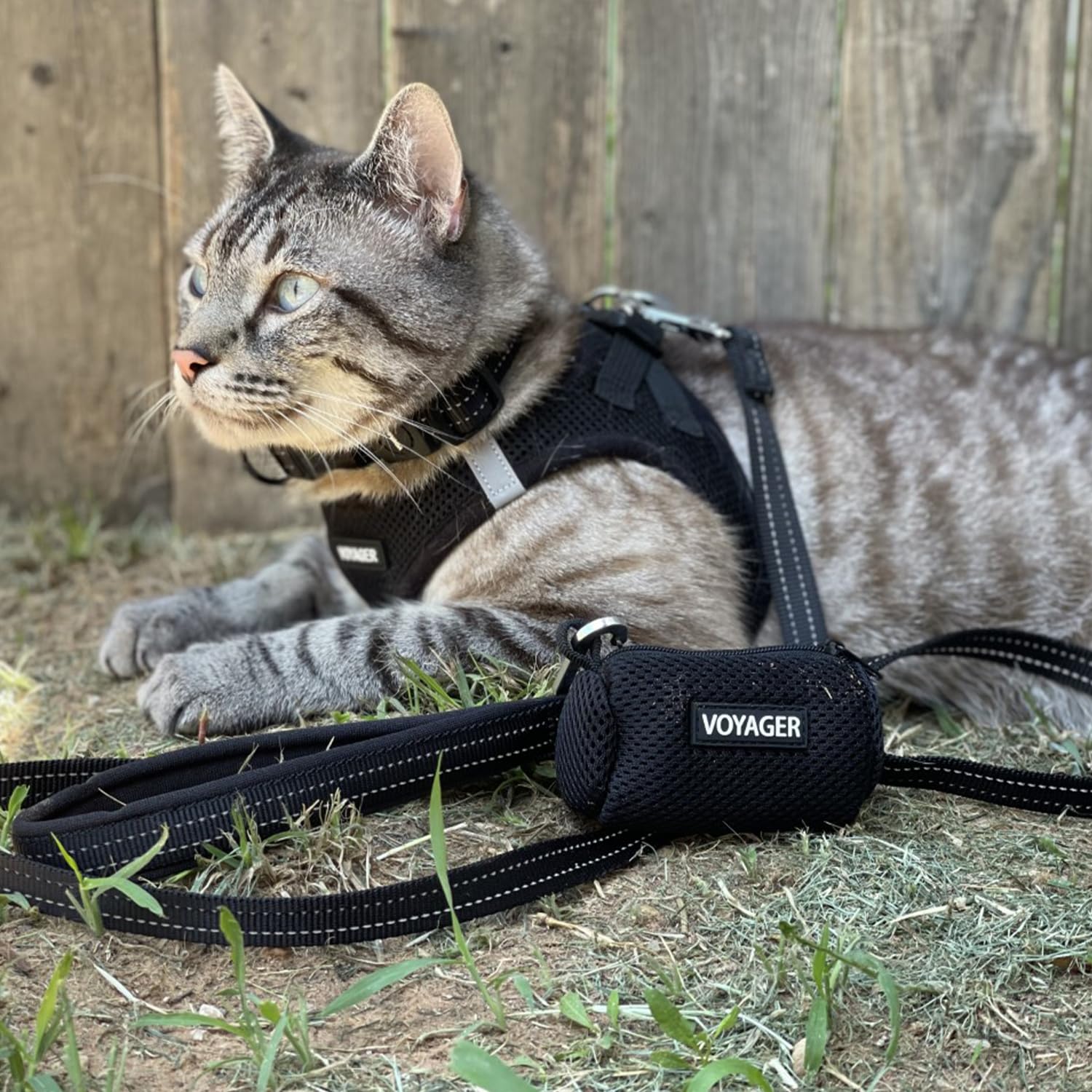 Harnais pour chiens et chats Best Pet Supplies, polyvalent et pratique.