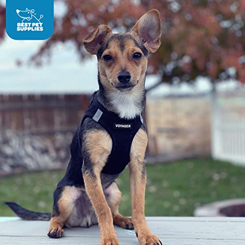 Harnais Best Pet Supplies parfait pour promenades quotidiennes.