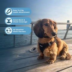 Best Pet Supplies harnais réfléchissant avec bandes pour sécurité crépusculaire