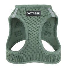 Best Pet Supplies harnais-reflectif-mousse-vert: visibilité accrue lors des promenades nocturnes