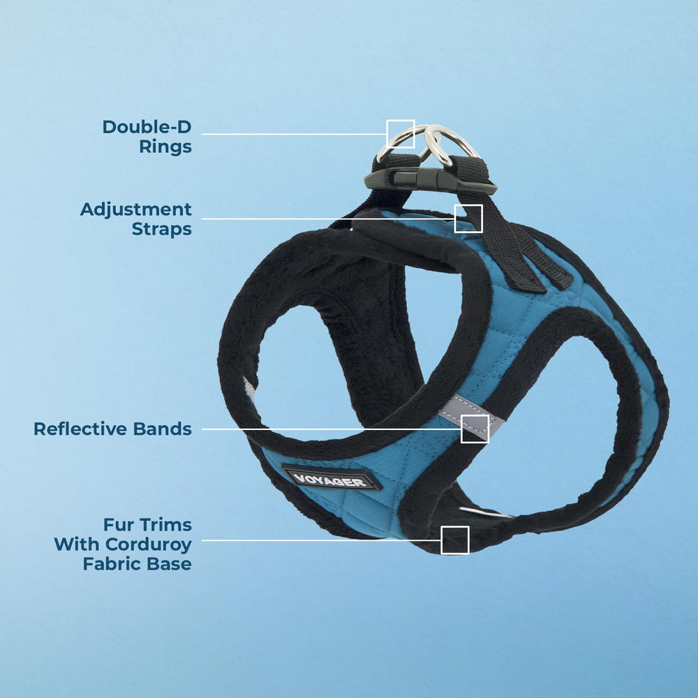 Best Pet Supplies harnais sécurité velcro-boucle-drs turquoise, maintien fiable