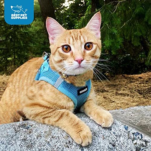 Harnais Voyager bleu Best Pet Supplies, confort et séchage rapide toute l'année.