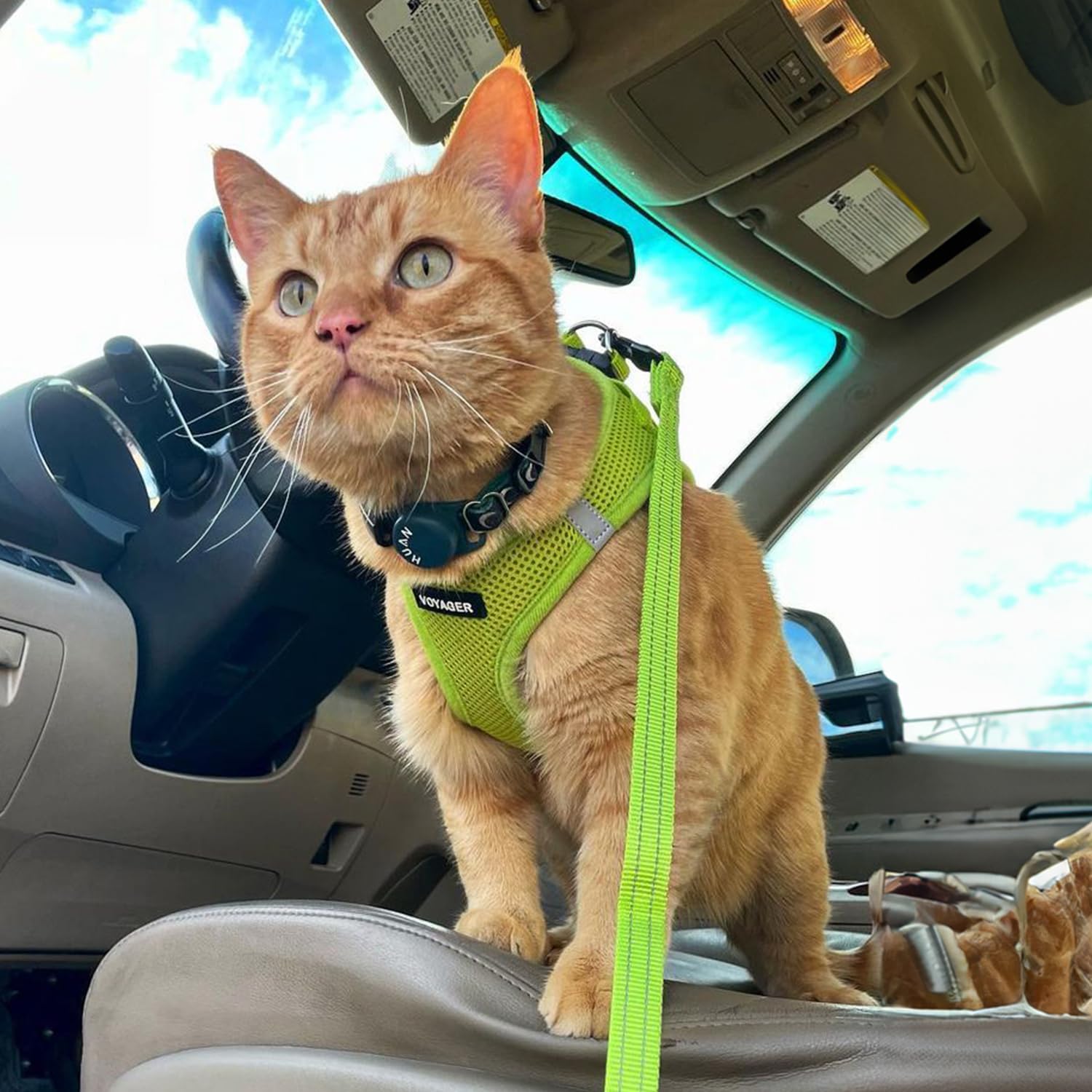 Best Pet Supplies Harnais Voyager – guide des tailles pour ajustement précis.