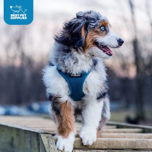 Idéal pour promenades en ville ou parc Voyager Best Pet Supplies bleu.