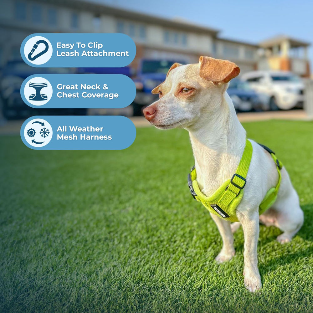 Harnais Voyager Best Pet Supplies, fermeture et boucle sécurisées pour stabilité.