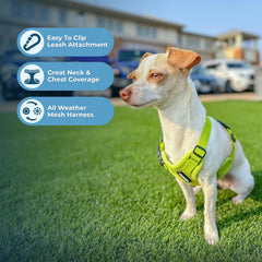 Harnais Voyager Best Pet Supplies, fermeture et boucle sécurisées pour stabilité.