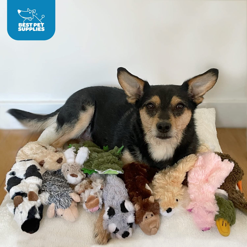 Best Pet Supplies cadeau idéal pour chien joueur, divertissement sûr et interactif.