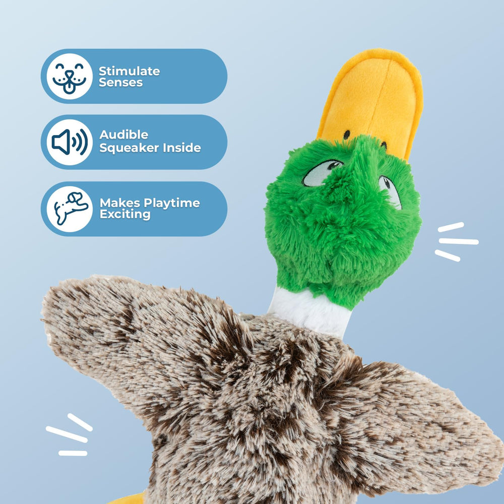 Best Pet Supplies, jouet canard gris crissant, stimule le sens auditif et l'amusement.