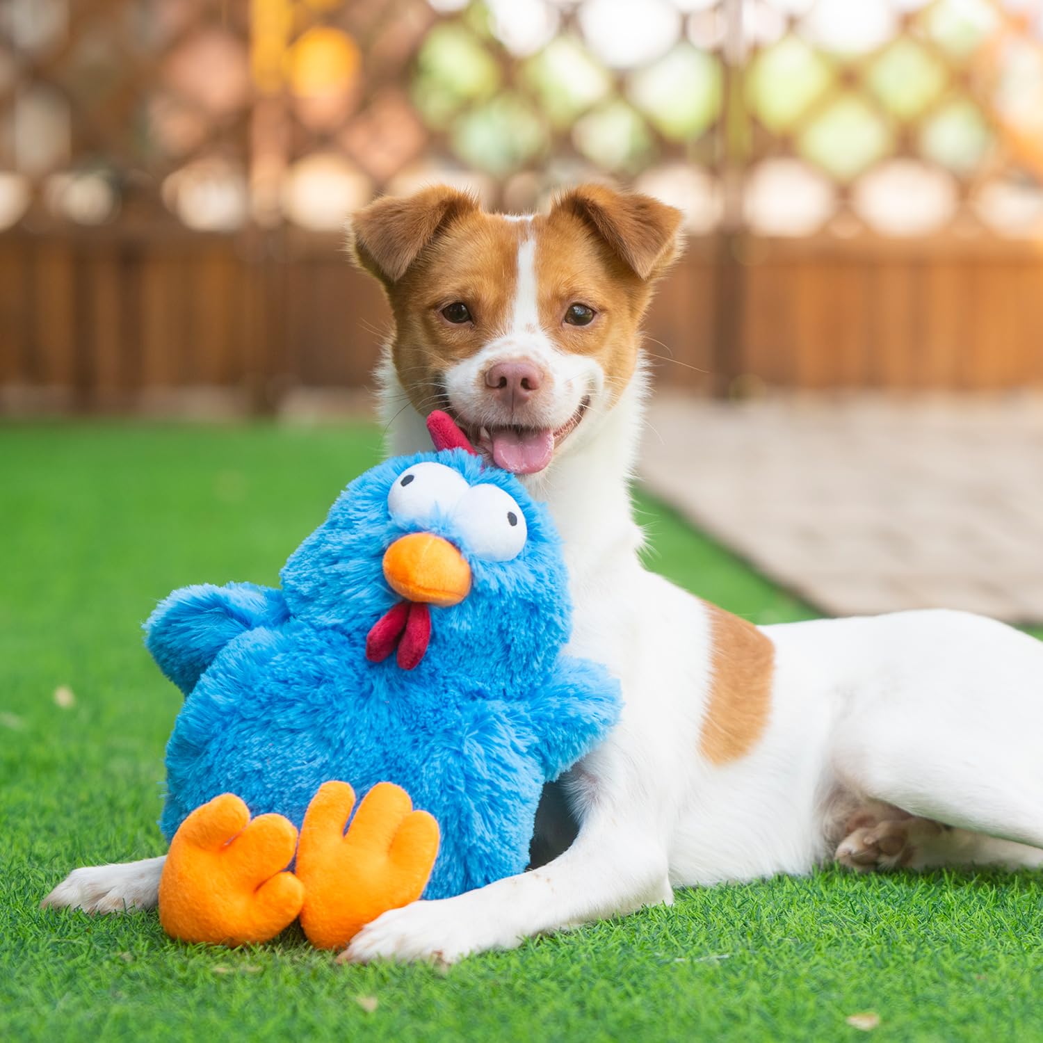 Best Pet Supplies Cluck bleu doux: toucher confortable et moments câlins après le jeu