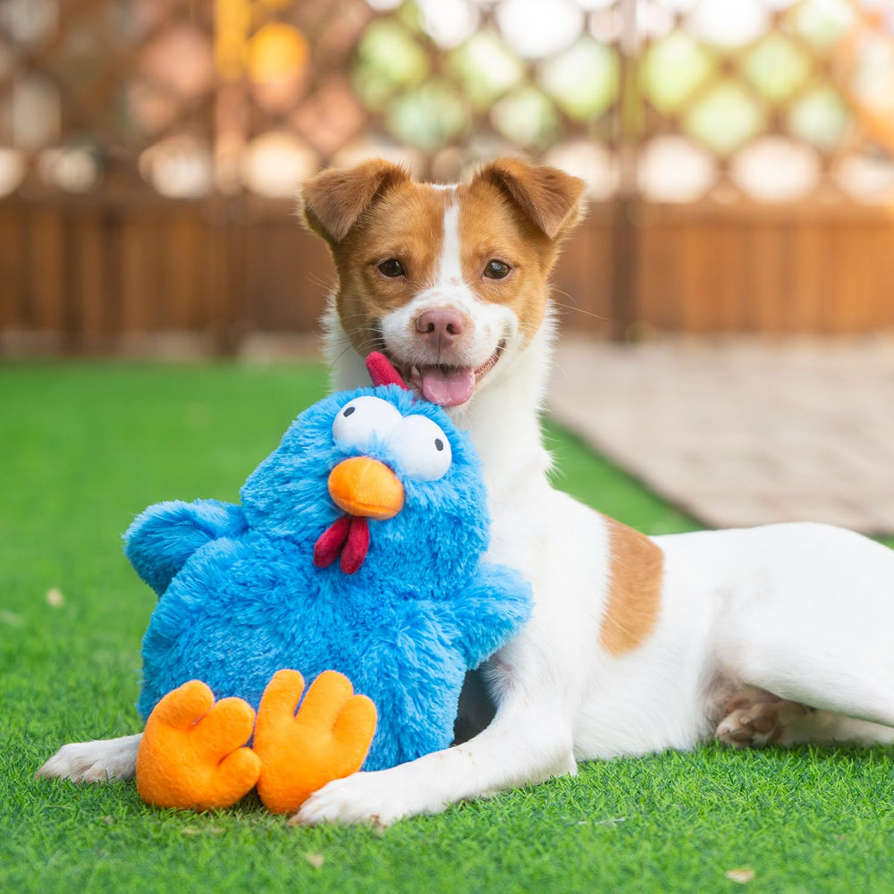 Best Pet Supplies Cluck bleu doux: toucher confortable et moments câlins après le jeu